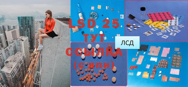 ГАЛЛЮЦИНОГЕННЫЕ ГРИБЫ Липки
