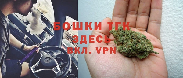 ГАЛЛЮЦИНОГЕННЫЕ ГРИБЫ Липки