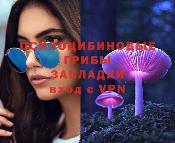 ГАЛЛЮЦИНОГЕННЫЕ ГРИБЫ Липки