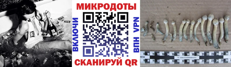 Псилоцибиновые грибы GOLDEN TEACHER  наркошоп  Электросталь 
