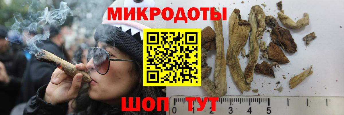 Псилоцибиновые грибы Psilocybe  Электросталь 